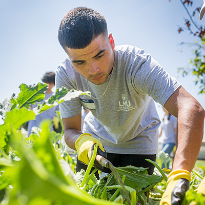 student cleaning up the garden at Alma Backyard Farms