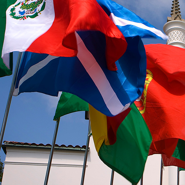 close-up of international flags
