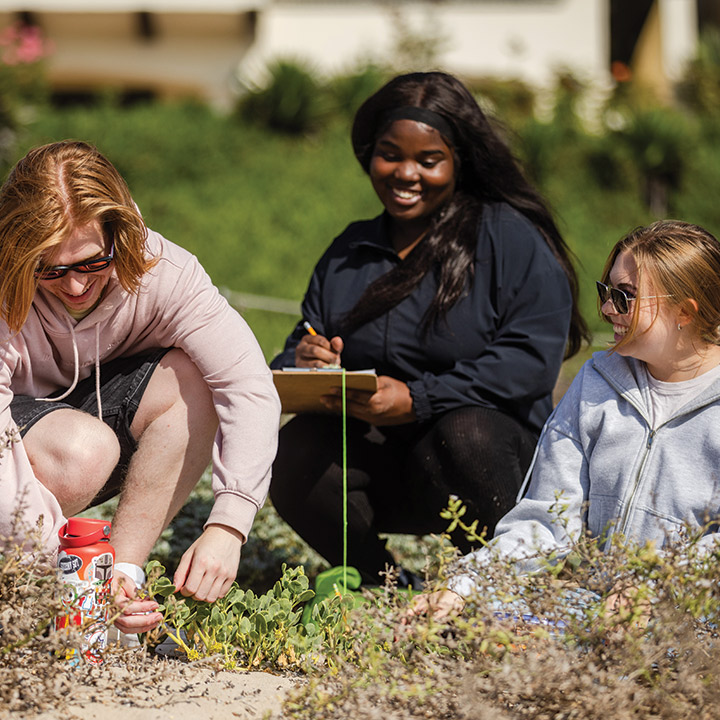 LMU Students working on Dune Restoration on the Beach