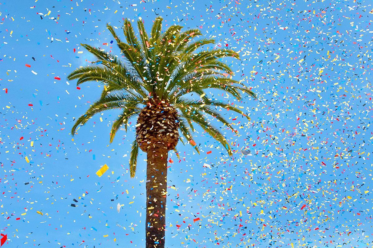 Confetti flying in the air in front of palm trees in LMU Sunken Garden