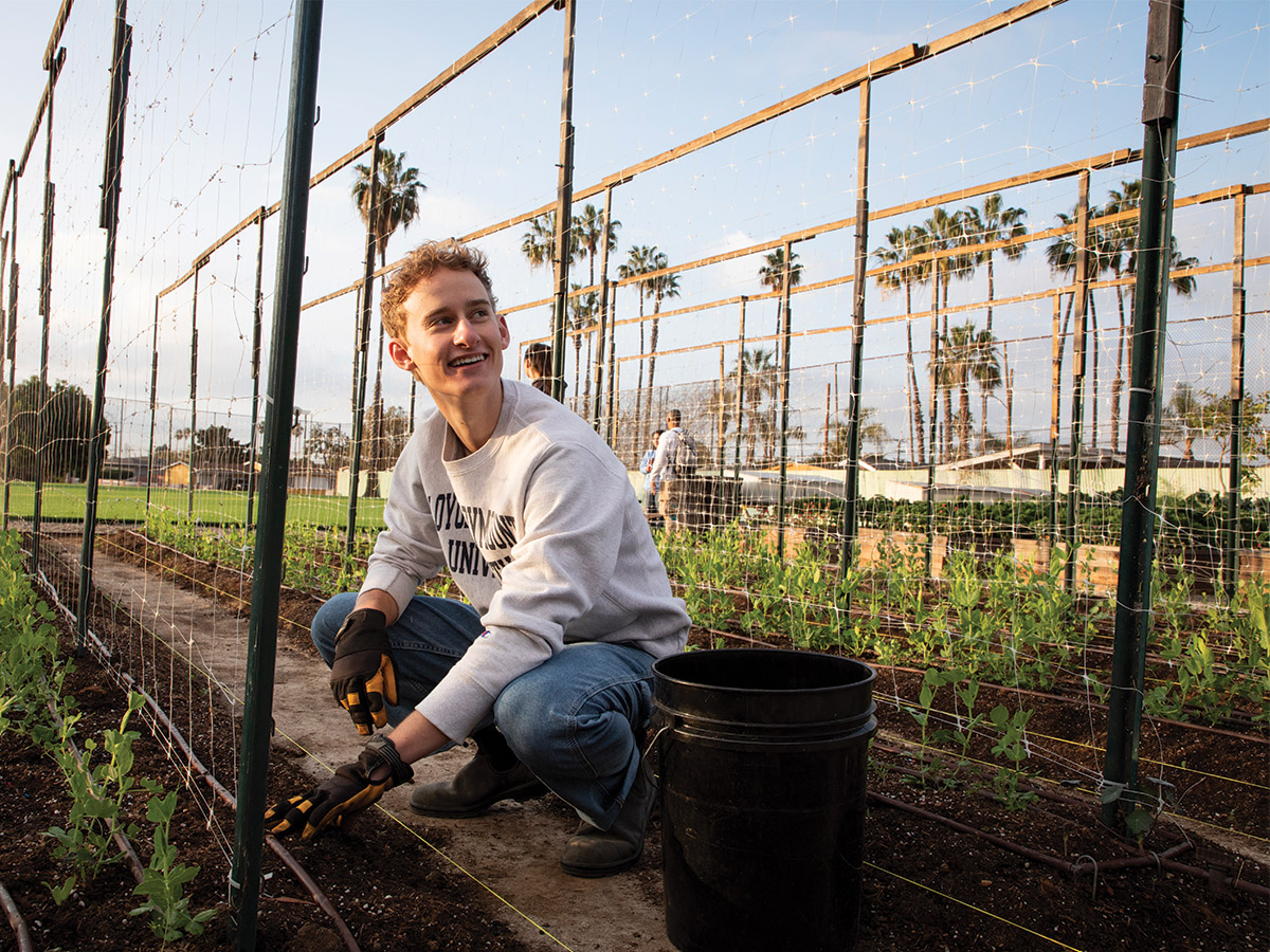 LMU Student Planting peas
